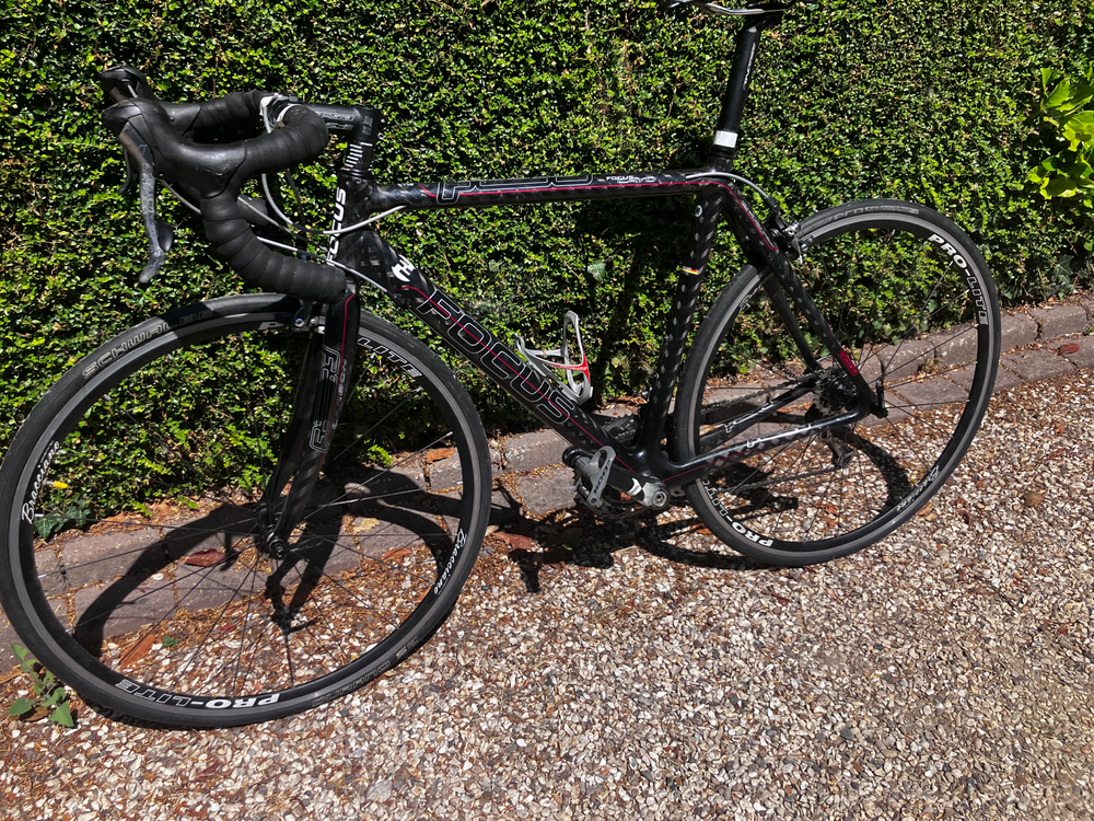 Focus Cayo Ultegra 2016