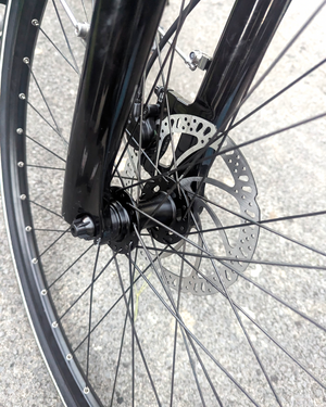 Raleigh Motus Ltd Lowstep Electric 2025