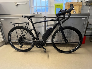 Raleigh Mustang E Comp 2019