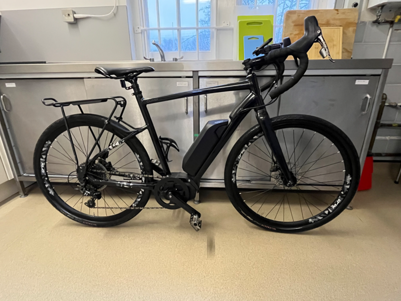 Raleigh Mustang E Comp 2019