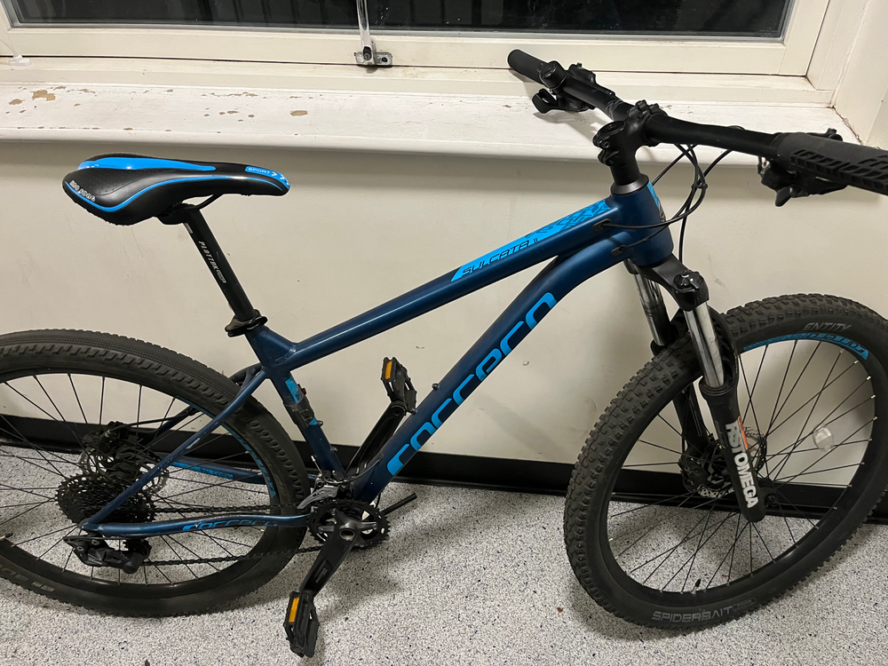 Carrera Sulcata 2.2 2024