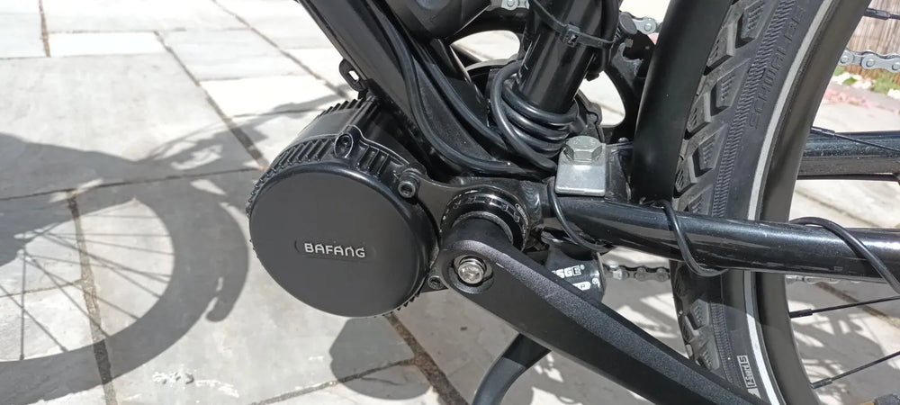 Vitus Dee VR Nexus 2021