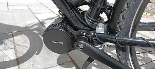Vitus Dee VR Nexus 2021