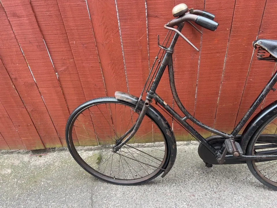 Raleigh Special 2017