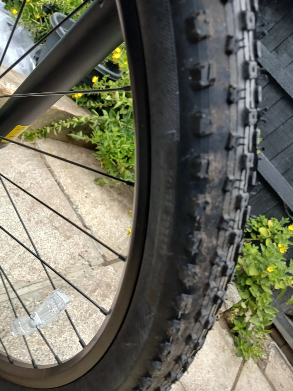 Trek Marlin 4 2025