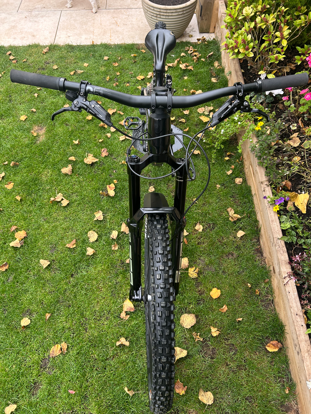 Canyon Torque Mullet CF 9 2023