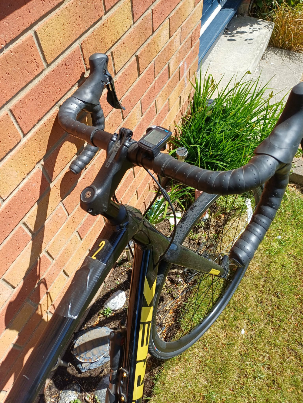 Trek Domane AL 2 2019
