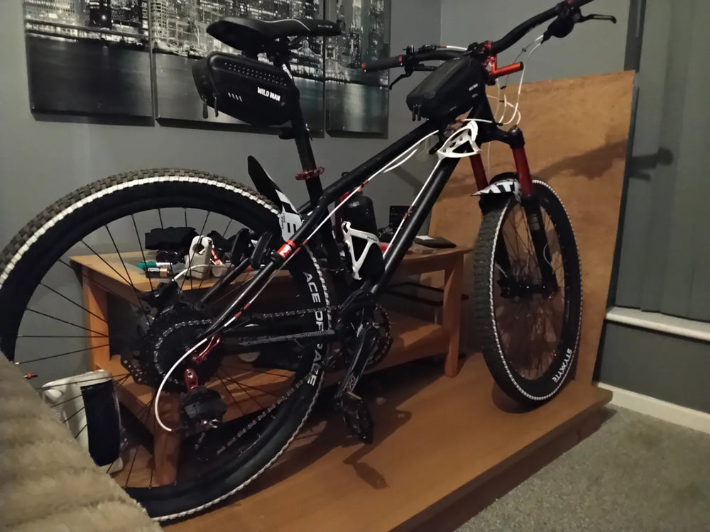 Ns bikes Surge evo 2024