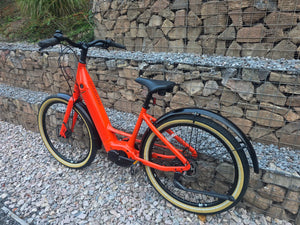 Momentum Vida E+ Low-Step 500Wh 2022