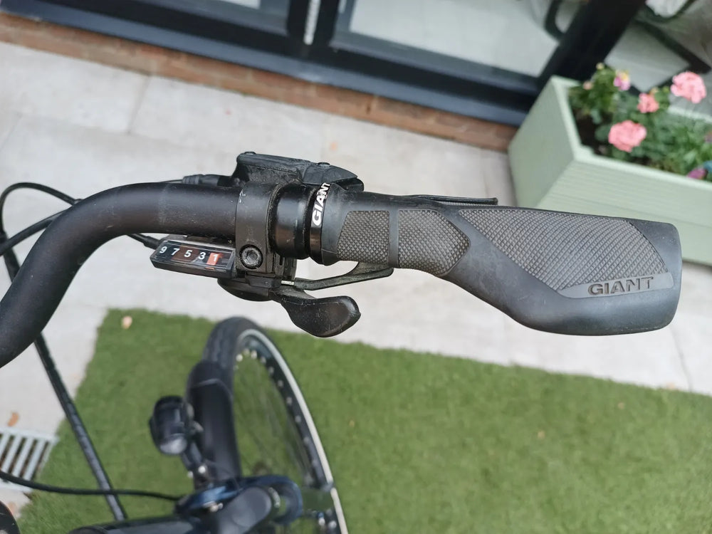 Giant Entour E 1 Easy Entry 2019