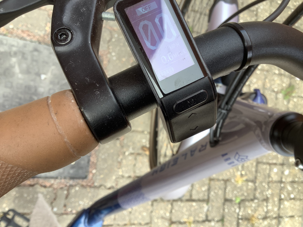 Raleigh Array E Motion Low Step 2022