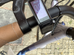 Raleigh Array E Motion Low Step 2022
