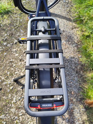 Gazelle Chamonix C5 HMS Low-Step 2022