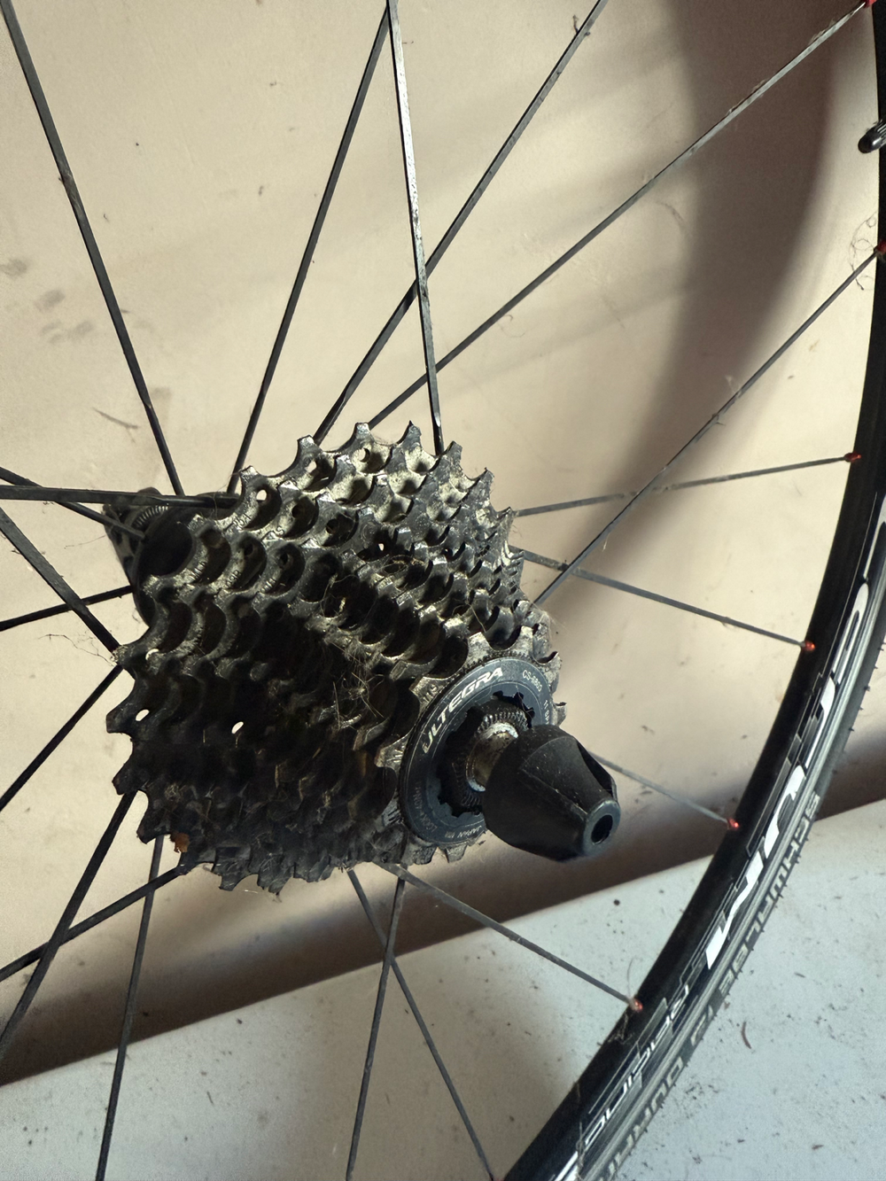 Bianchi Oltre XR.2 Frameset 2015