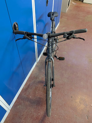 Trek Fx2