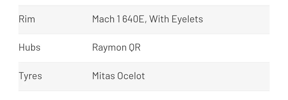 Raymon R HardRay E 4.0 Electric 2022