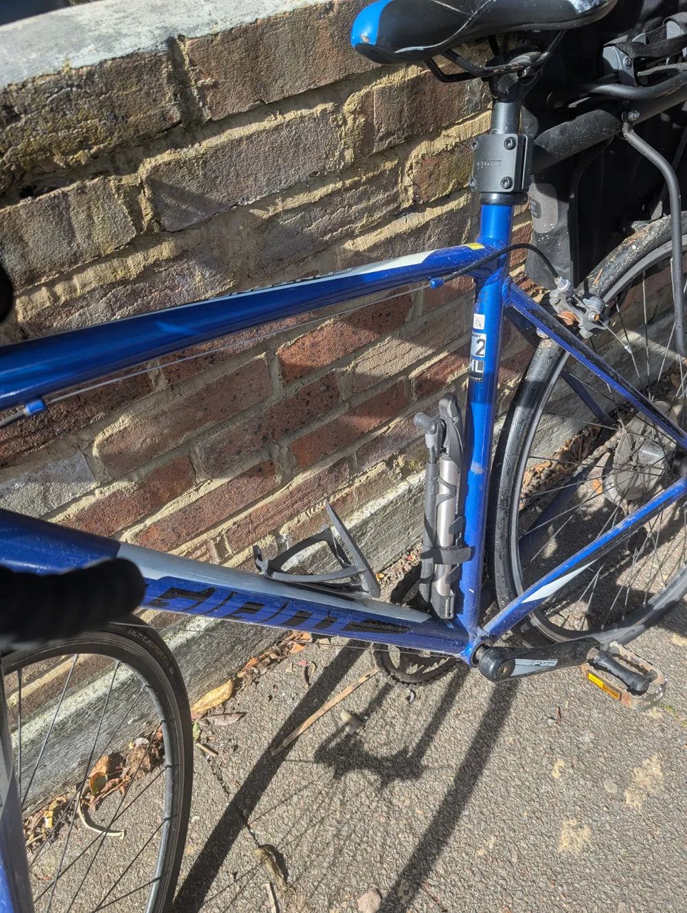 Giant Contend 2 2020