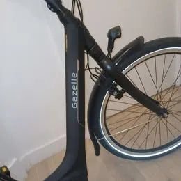 Gazelle Orange C8 2022