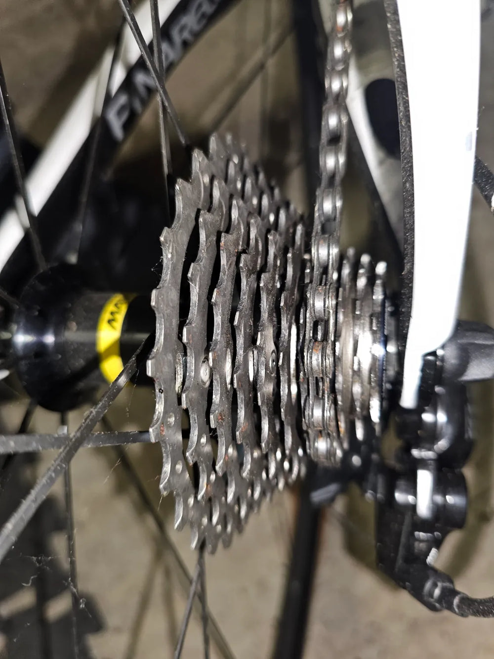 Pinarello Prince Disk 2020