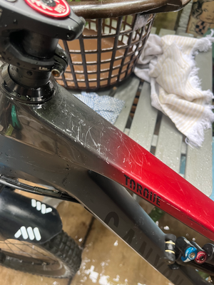 Canyon Torque CF 8.0 2019
