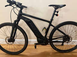 Giant Roam E+ GTS 2022