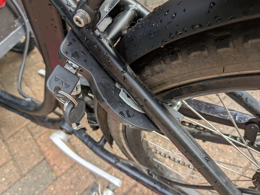 AmCargo Ultimate Curve  2021