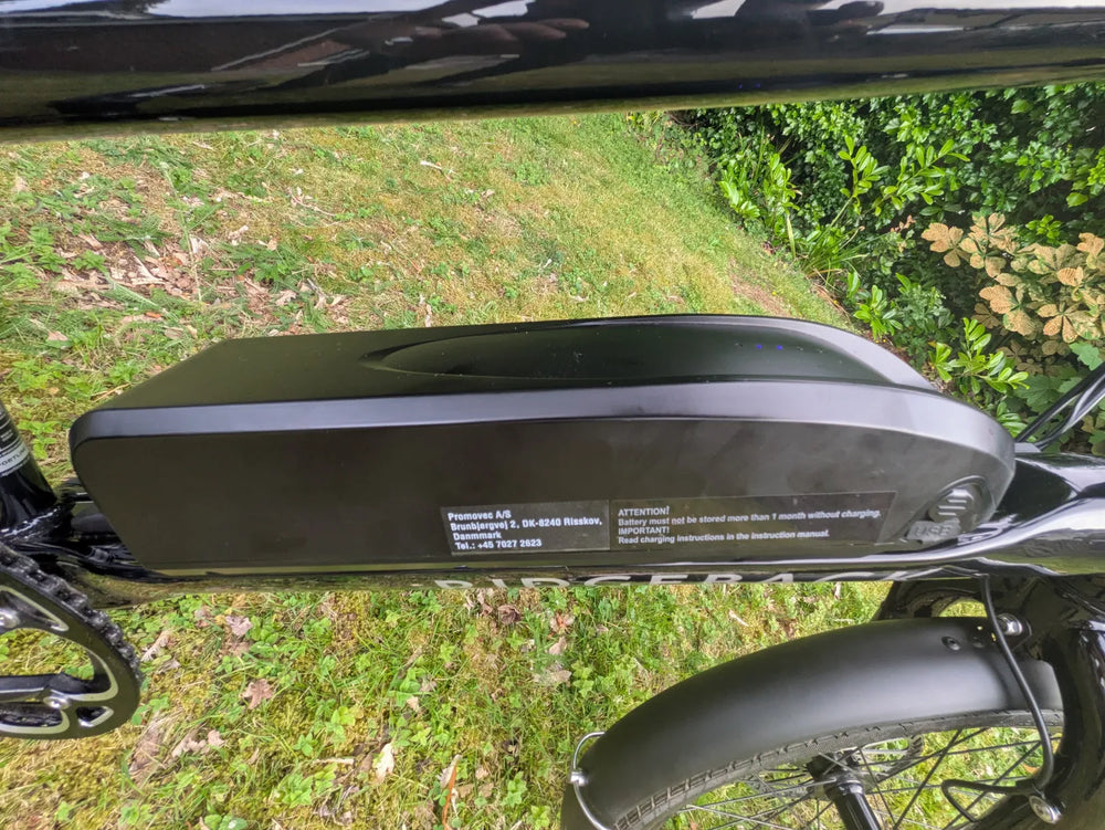 Ridgeback Errand 2024