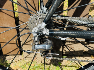 Storck scenario 1.1