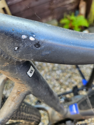 Giant Talon E+ Sport 2021