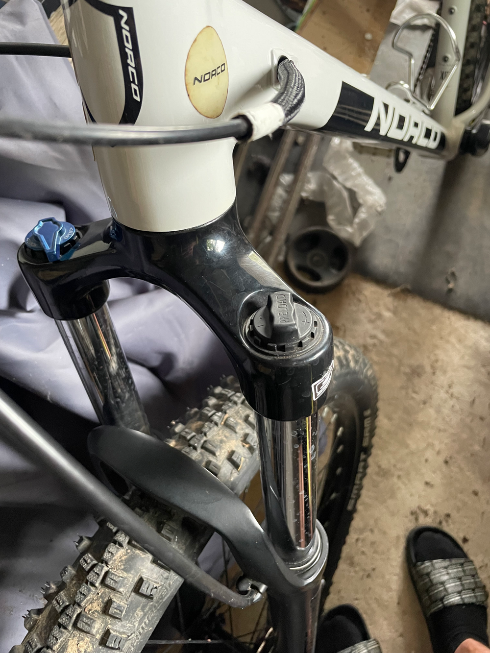 Norco Fluid HT 3 29 2020