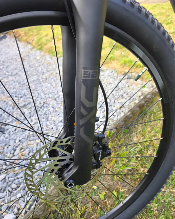 Giant Talon 2 - 29 Wheel - Asphalt 2026