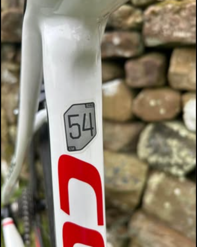 Cannondale Synapse Carbon 5 2017