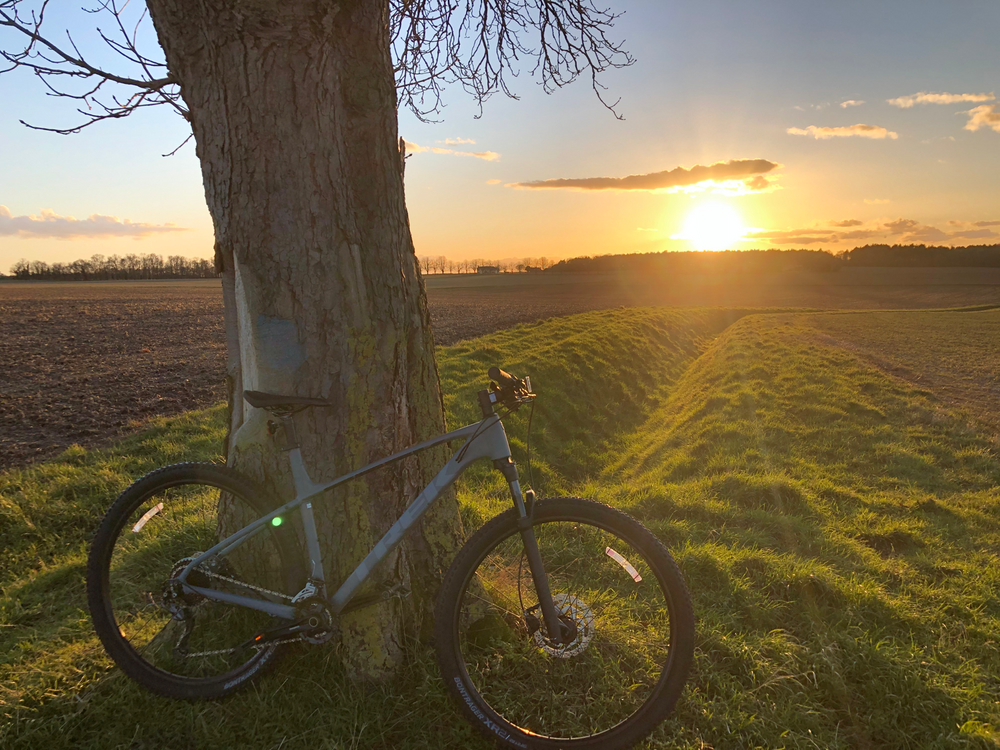 Trek X-Caliber 7 2020