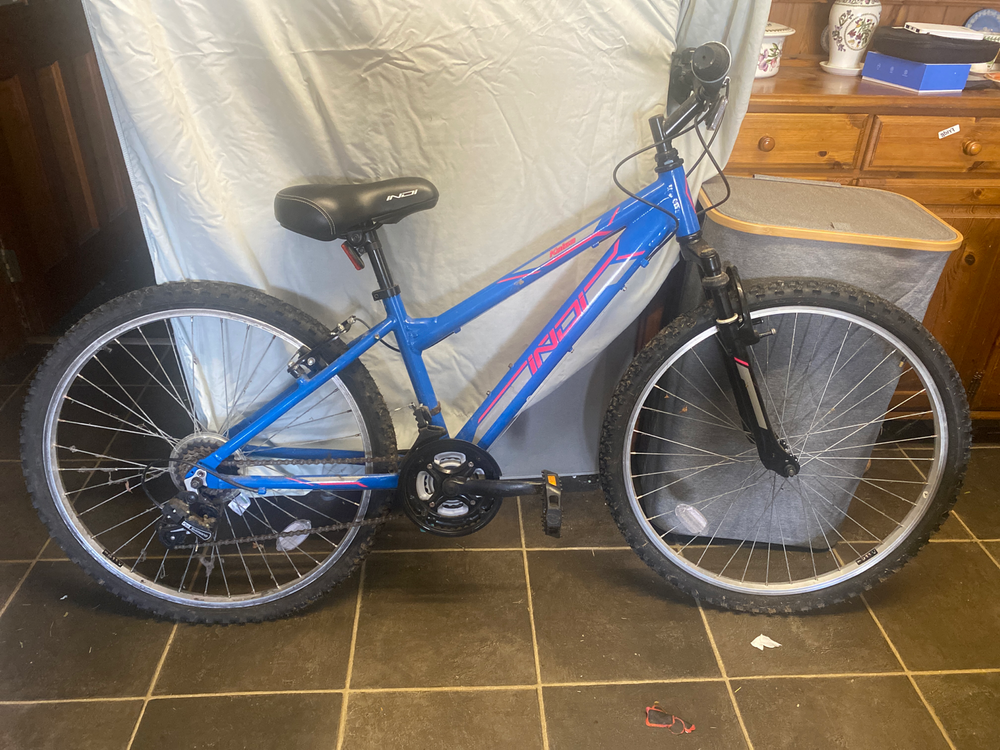 YT Industries Indi 2019
