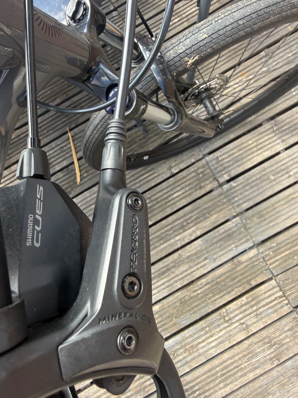 Cannondale Trail 6 29 2025