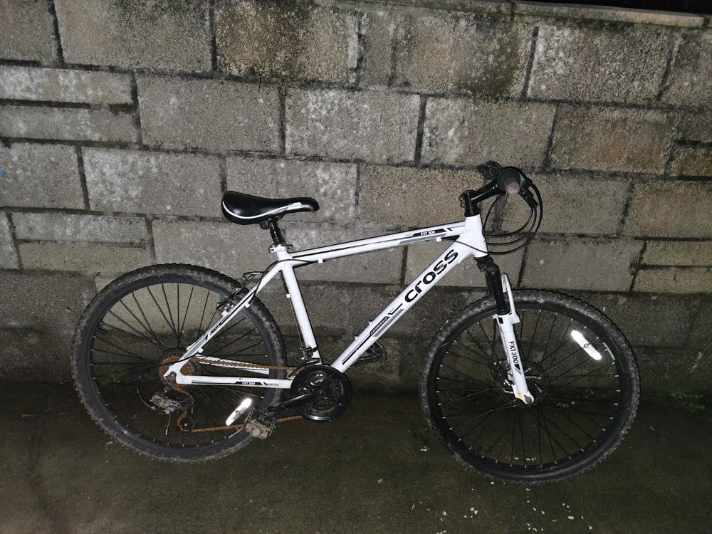 Cross FXT 300 2020
