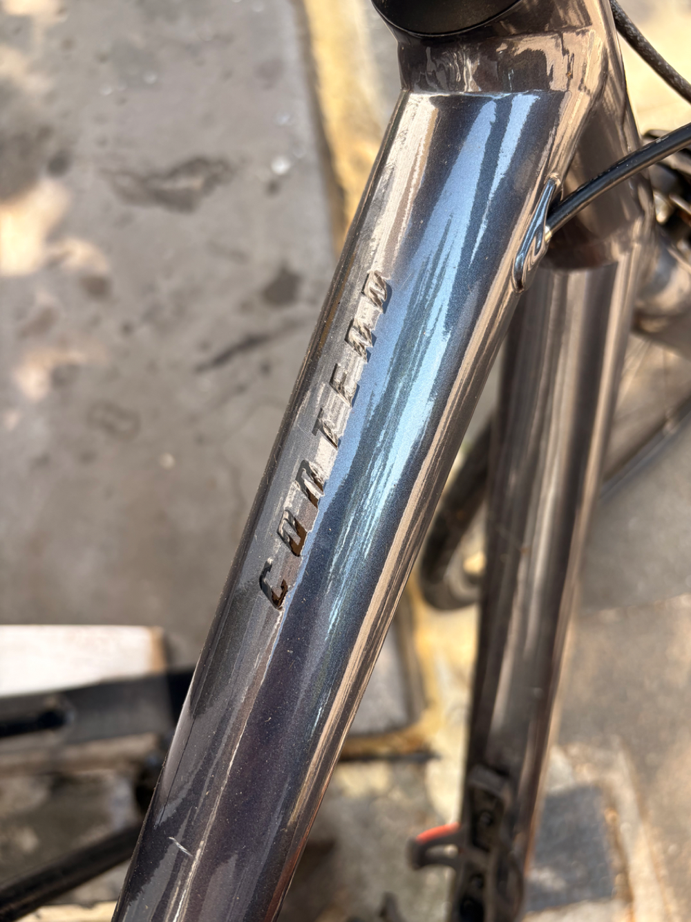 Giant Contend 2 2024