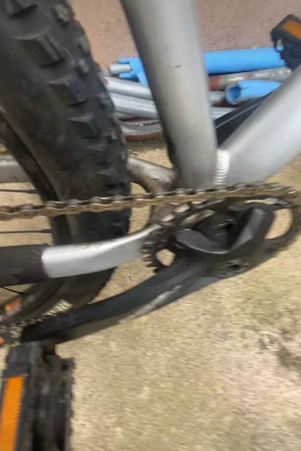 Vitus E-Sentier VR 2018