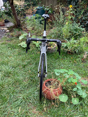 Basso Diamante 2021
