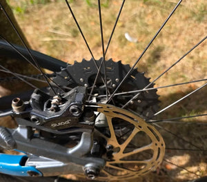 Vitus Escarpe 29 CRX Mountain 2019