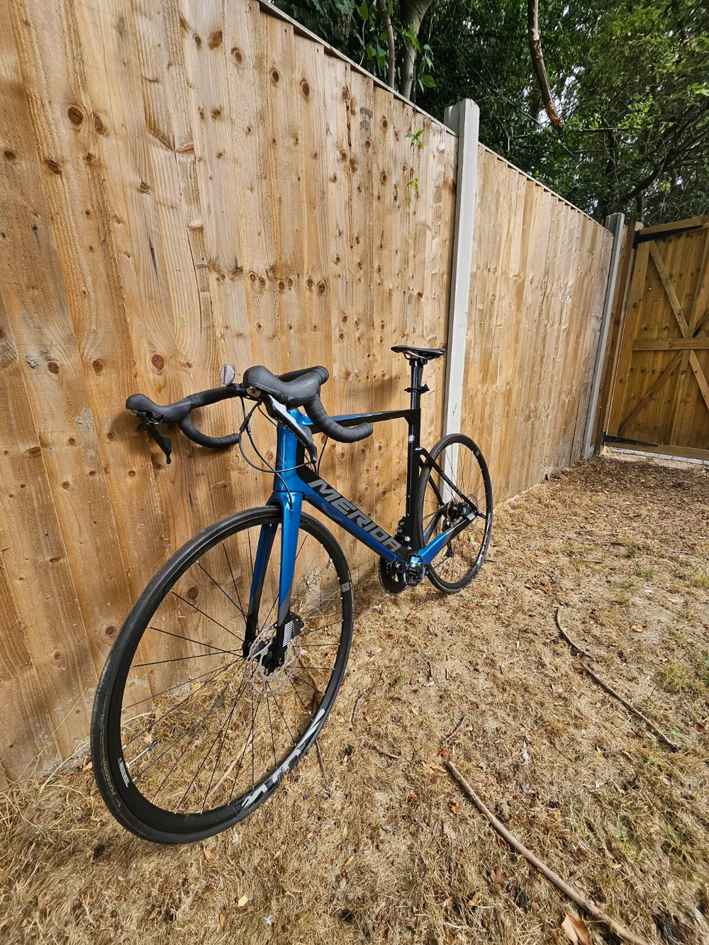 Merida Reacto 5000 Carbon Road 2027