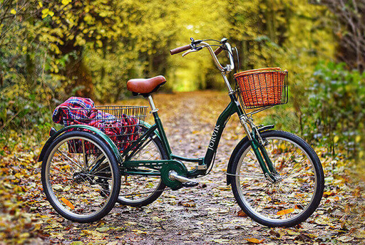Jorvik Tricycle