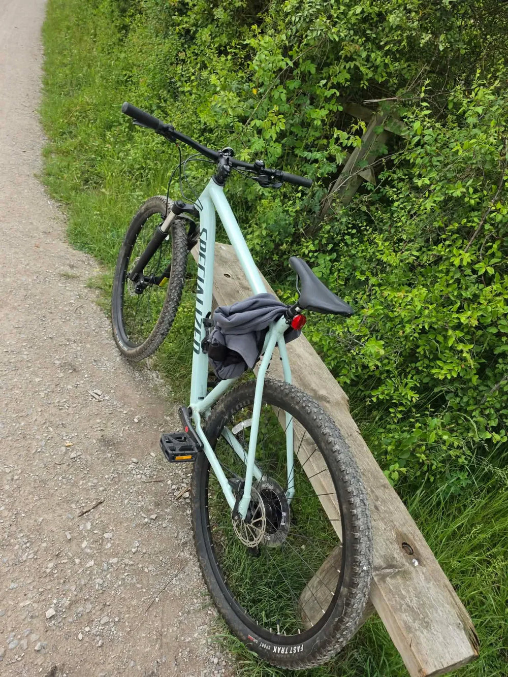 Specialized Rockhopper Expert Disc 29 Single-Speed 2009