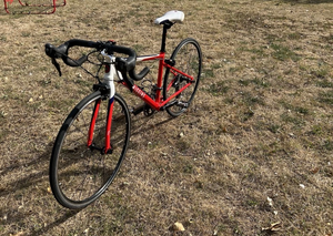 Wiggins Rouen 650 Junior 2018