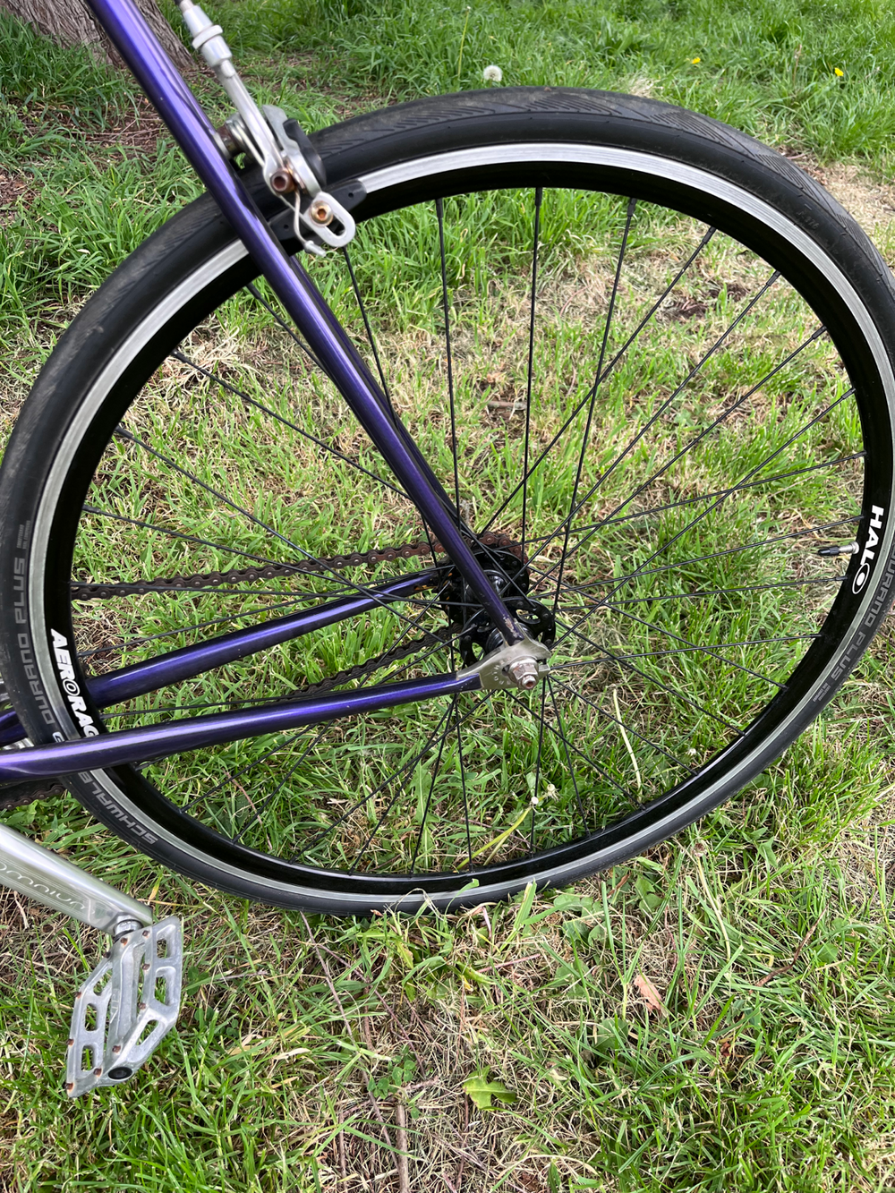 Brother Swift custom 2019