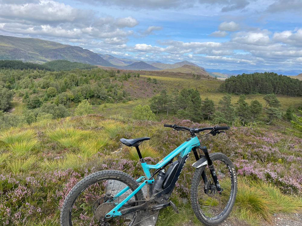 Canyon Spectral:ON 7.0 2019