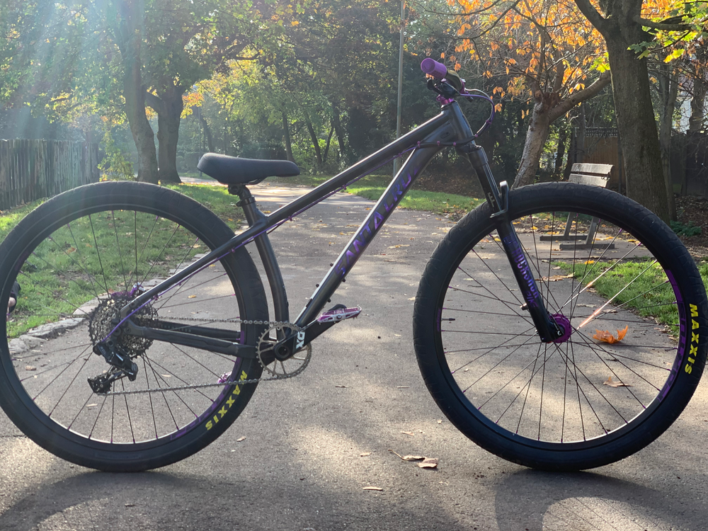 Santa Cruz CHAMELEON D / AL / 29 2022
