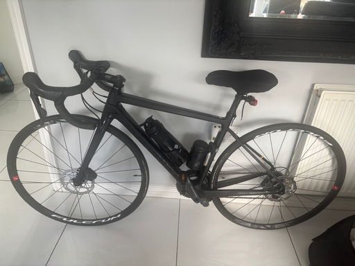 Silver Back Ultegra catrbon 2024