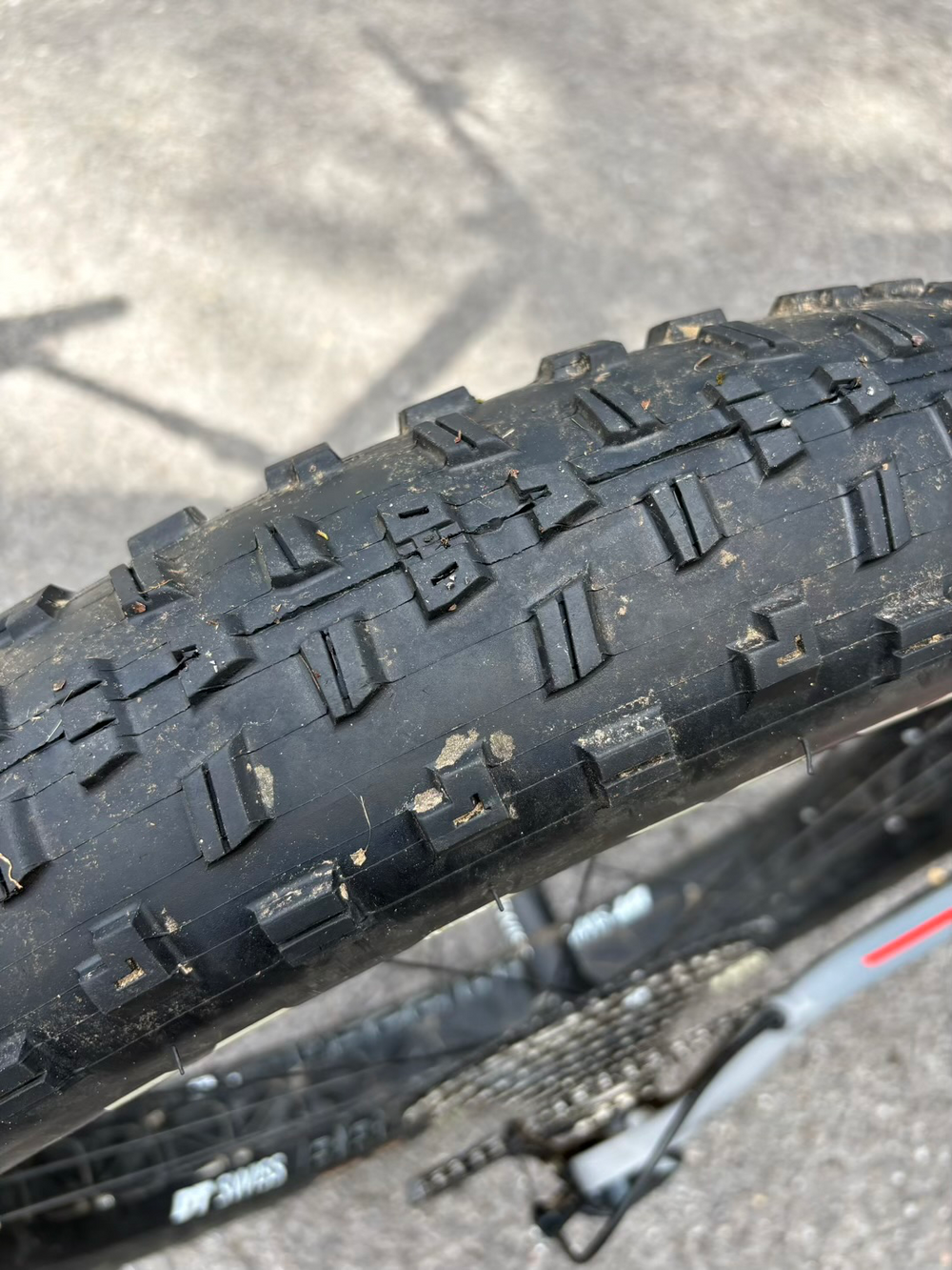Canyon Dude CF 8 2022