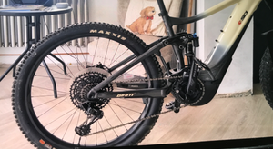 Giant Reign 2 2021
